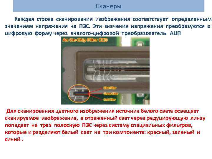 Сканеры Каждая строка сканирования изображения соответствует определенным значениям напряжения на ПЗС. Эти значения напряжения