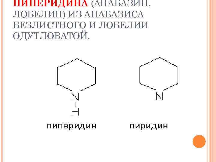 ПИПЕРИДИНА (АНАБАЗИН, ЛОБЕЛИН) ИЗ АНАБАЗИСА БЕЗЛИСТНОГО И ЛОБЕЛИИ ОДУТЛОВАТОЙ. 