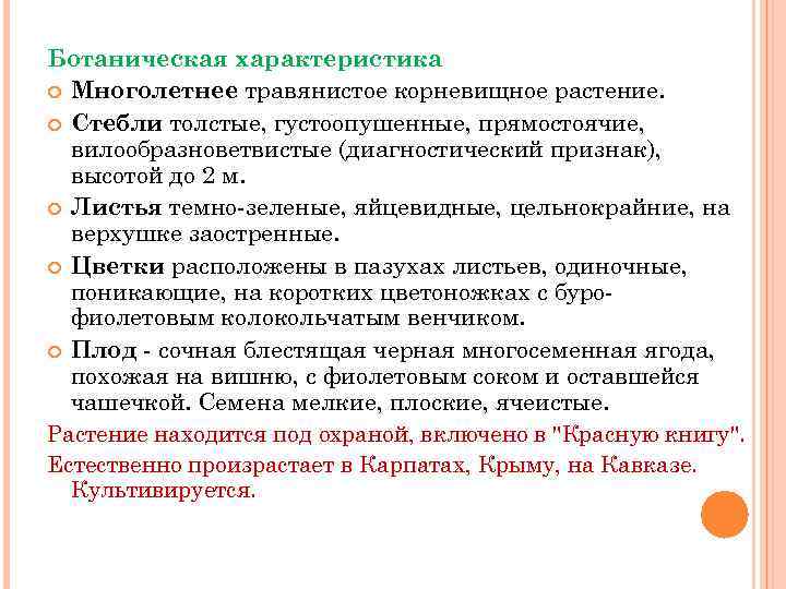 Ботаническая характеристика Многолетнее травянистое корневищное растение. Стебли толстые, густоопушенные, прямостоячие, вилообразноветвистые (диагностический признак), высотой