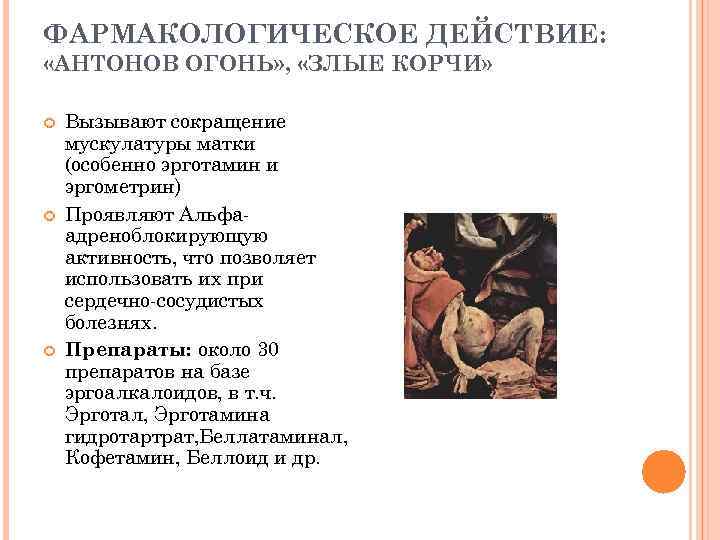 ФАРМАКОЛОГИЧЕСКОЕ ДЕЙСТВИЕ: «АНТОНОВ ОГОНЬ» , «ЗЛЫЕ КОРЧИ» Вызывают сокращение мускулатуры матки (особенно эрготамин и