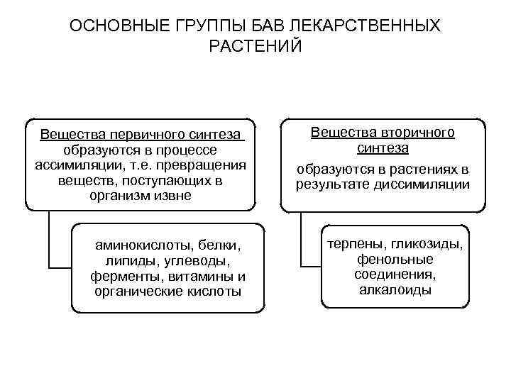 ОСНОВНЫЕ ГРУППЫ БАВ ЛЕКАРСТВЕННЫХ РАСТЕНИЙ Вещества первичного синтеза образуются в процессе ассимиляции, т. е.