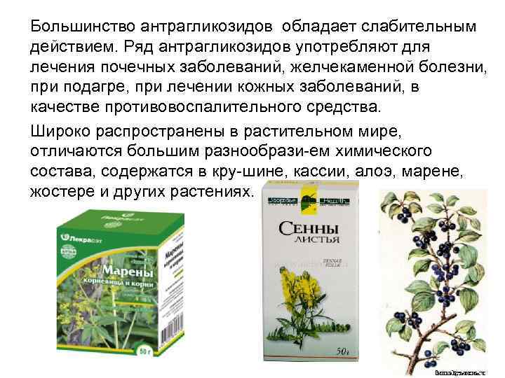 Большинство антрагликозидов обладает слабительным действием. Ряд антрагликозидов употребляют для лечения почечных заболеваний, желчекаменной болезни,