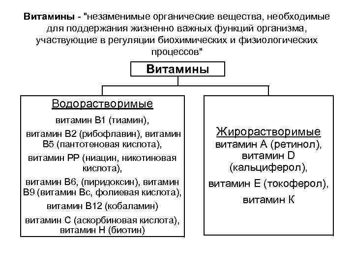 Витамины "незаменимые органические вещества, необходимые для поддержания жизненно важных функций организма, участвующие в регуляции