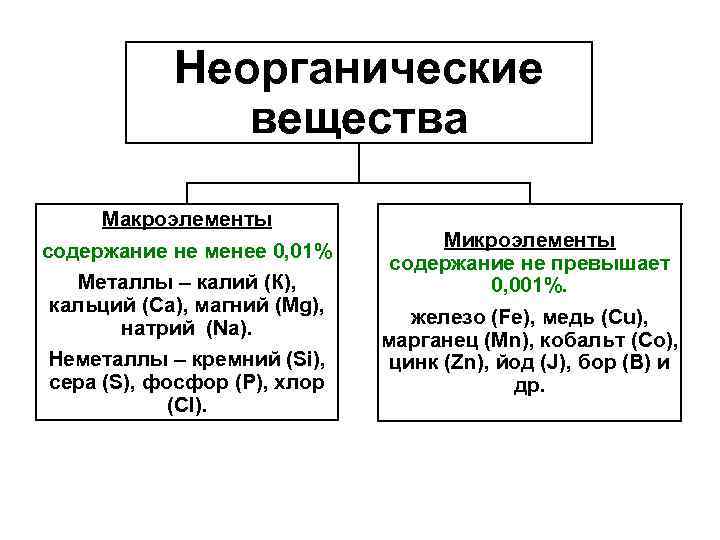 Неорганические вещества Макроэлементы содержание не менее 0, 01% Металлы – калий (К), кальций (Са),