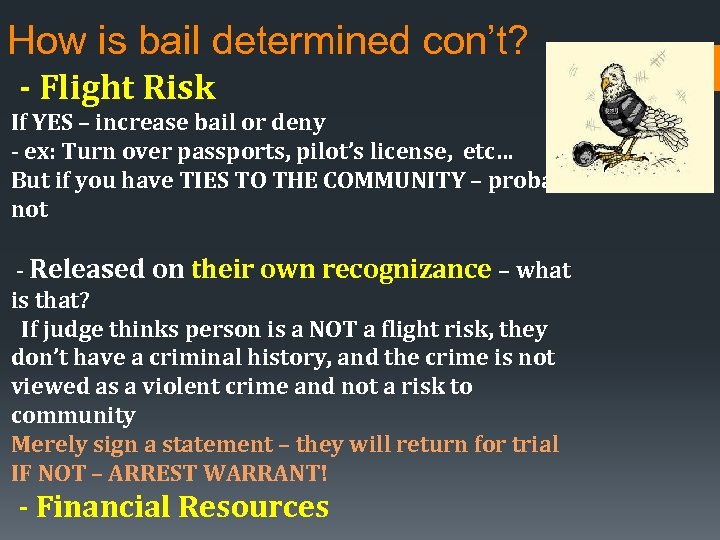 How is bail determined con’t? - Flight Risk If YES – increase bail or
