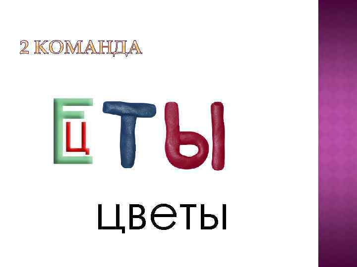 цветы 