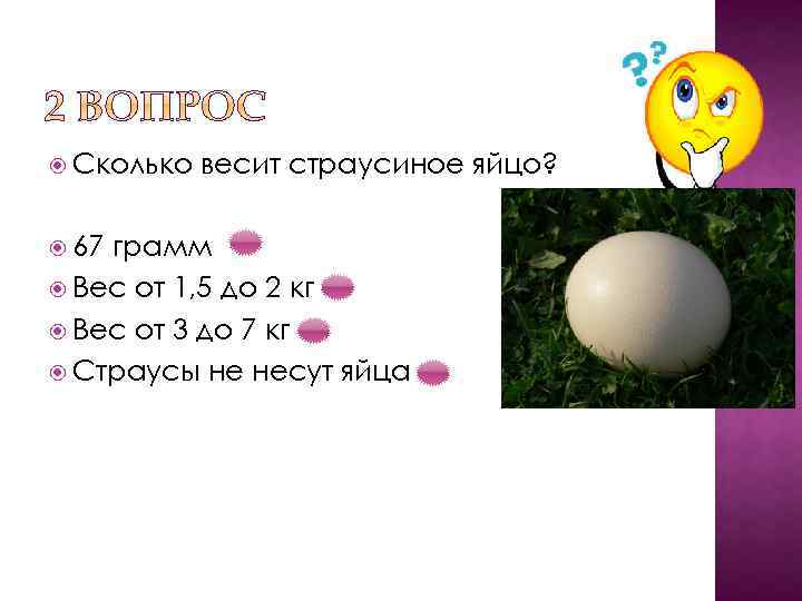  Сколько 67 весит страусиное яйцо? грамм Вес от 1, 5 до 2 кг