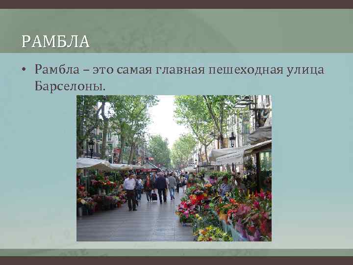 РАМБЛА • Рамбла – это самая главная пешеходная улица Барселоны. 