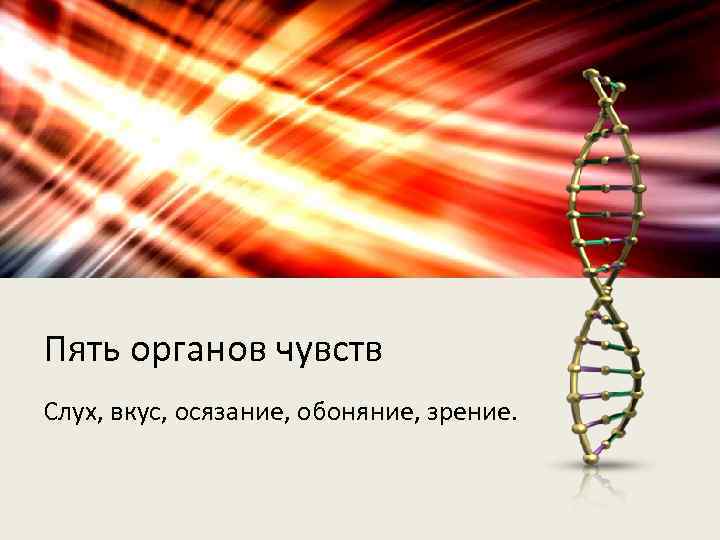 Пять органов чувств Слух, вкус, осязание, обоняние, зрение. 