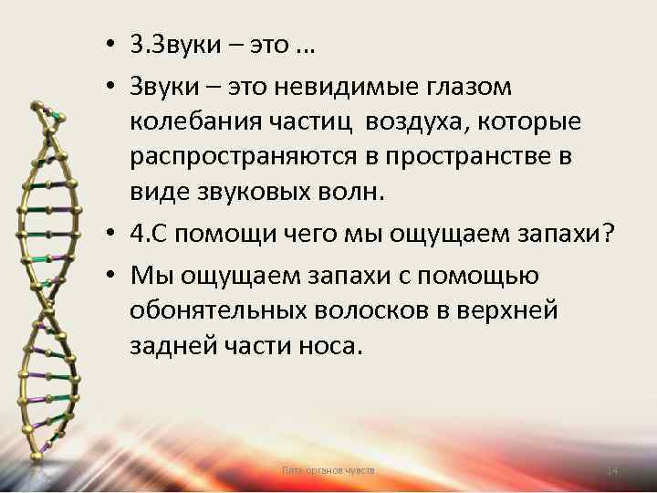  • 3. Звуки – это … • Звуки – это невидимые глазом колебания