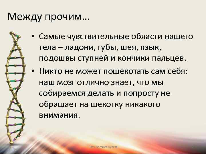 Между прочим… • Самые чувствительные области нашего тела – ладони, губы, шея, язык, подошвы