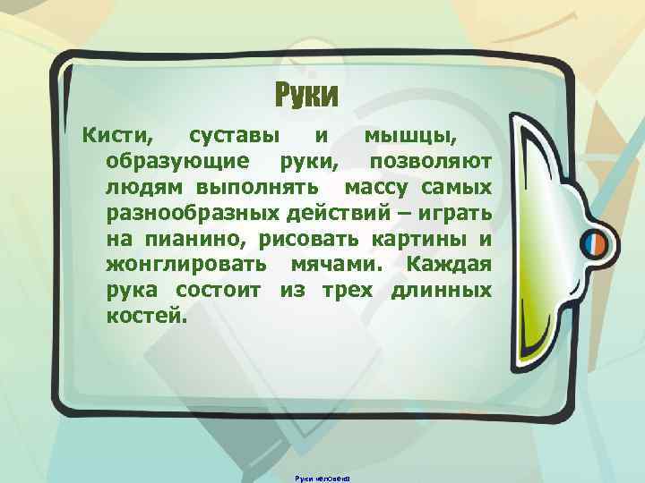 Руки Кисти, суставы и мышцы, образующие руки, позволяют людям выполнять массу самых разнообразных действий