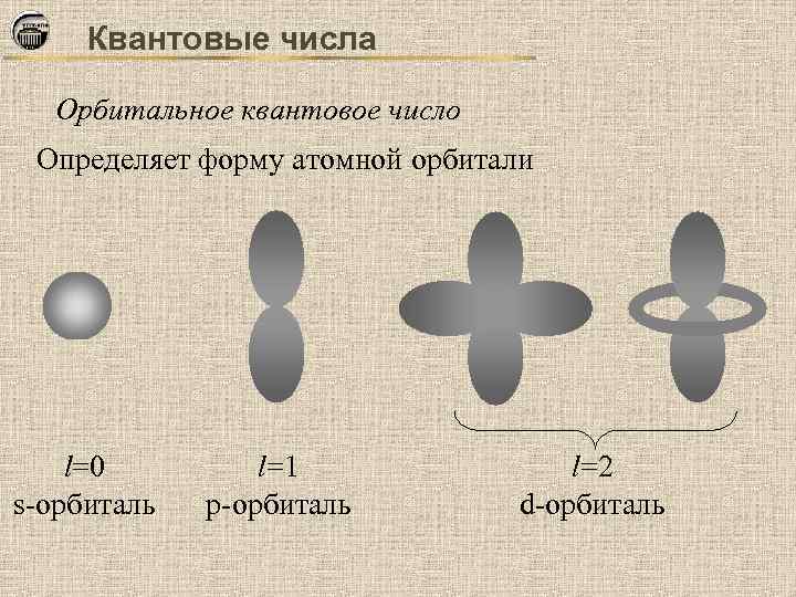 Квантовые числа Орбитальное квантовое число Определяет форму атомной орбитали l=0 s-орбиталь l=1 р-орбиталь l=2