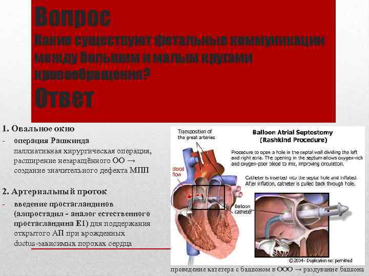 Вопрос Какие существуют фетальные коммуникации между большим и малым кругами кровообращения? Ответ 1. Овальное