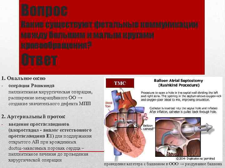 Вопрос Какие существуют фетальные коммуникации между большим и малым кругами кровообращения? Ответ 1. Овальное