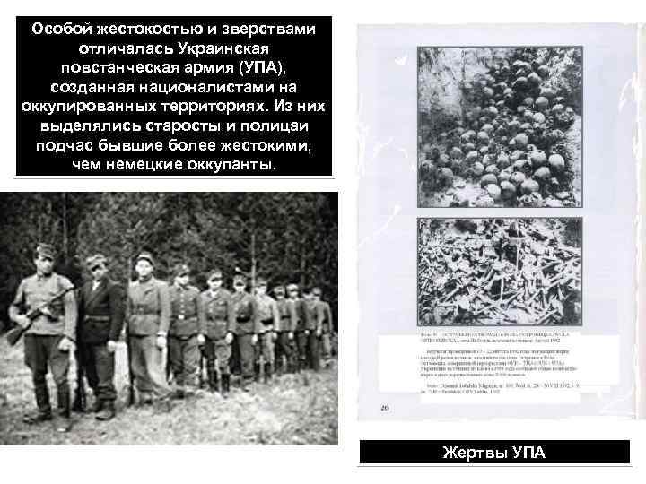 Особой жестокостью и зверствами отличалась Украинская повстанческая армия (УПА), созданная националистами на оккупированных территориях.