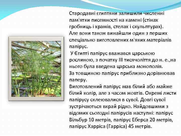 Стародавні єгиптяни залишили численні пам'ятки писемності на камені (стінах гробниць і храмів, стелах і