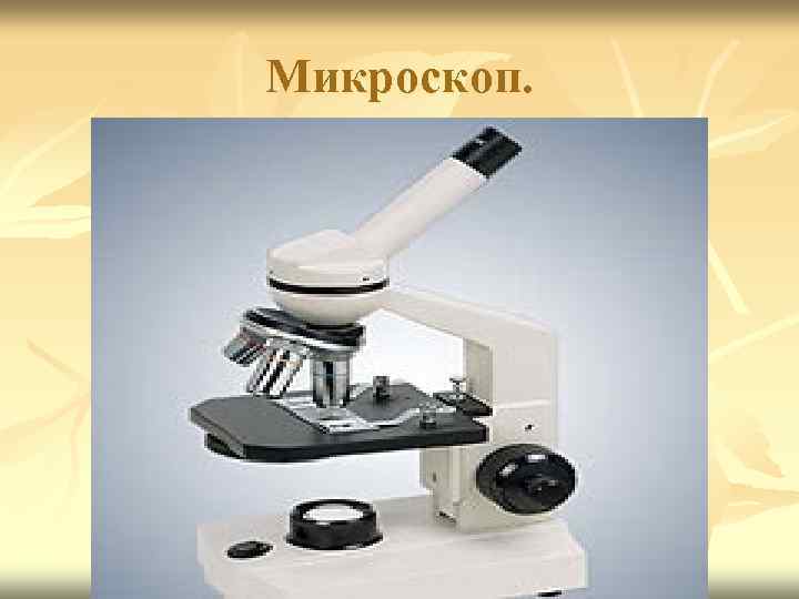 Микроскоп. 
