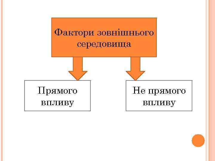 Фактори зовнішнього середовища Прямого впливу Не прямого впливу 