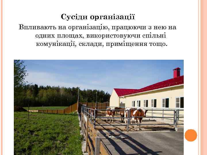 Сусіди організації Впливають на організацію, працюючи з нею на одних площах, використовуючи спільні комунікації,
