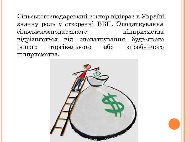 Сільськогосподарський сектор відіграє в Україні значну роль у створенні ВВП. Оподаткування сільськогосподарського підприємства відрізняється