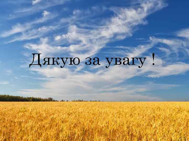 Дякую за увагу ! 