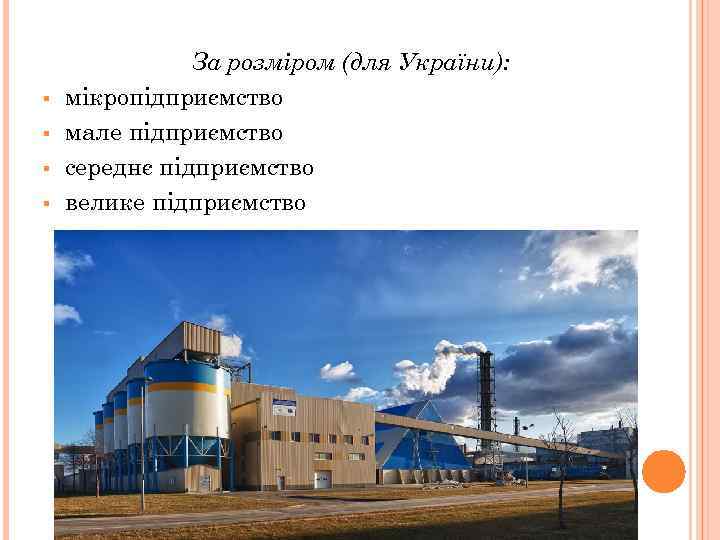 § § За розміром (для України): мікропідприємство мале підприємство середнє підприємство велике підприємство 