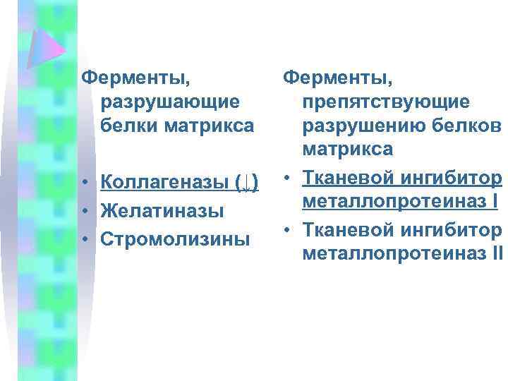 Ферменты, разрушающие белки матрикса • Коллагеназы (↓) • Желатиназы • Стромолизины Ферменты, препятствующие разрушению