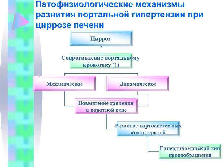 Патофизиологические механизмы развития портальной гипертензии при циррозе печени Цирроз Сопротивление портальному кровотоку (↑) Механическое