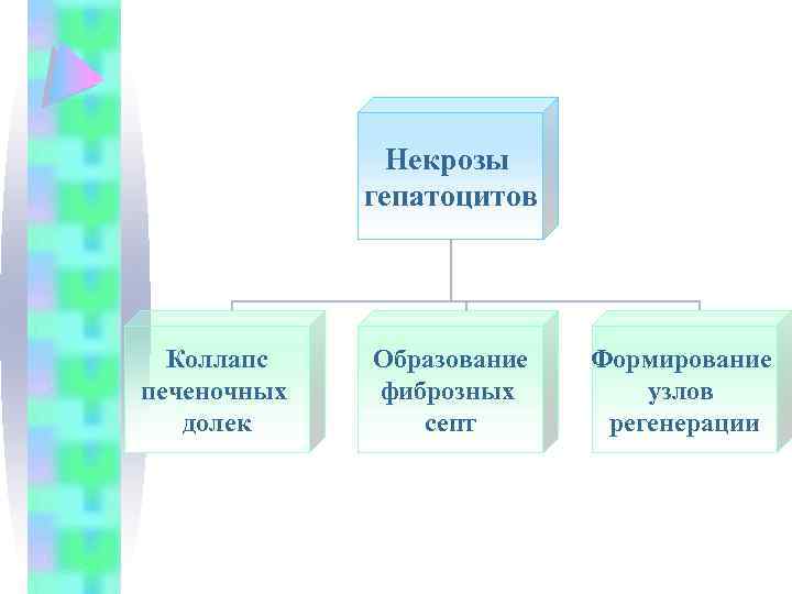 Некрозы гепатоцитов Коллапс печеночных долек Образование фиброзных септ Формирование узлов регенерации 