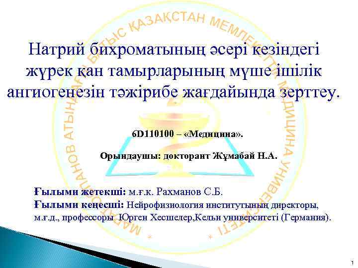 Натрий бихроматының әсері кезіндегі жүрек қан тамырларының мүше ішілік ангиогенезін тәжірибе жағдайында зерттеу. 6