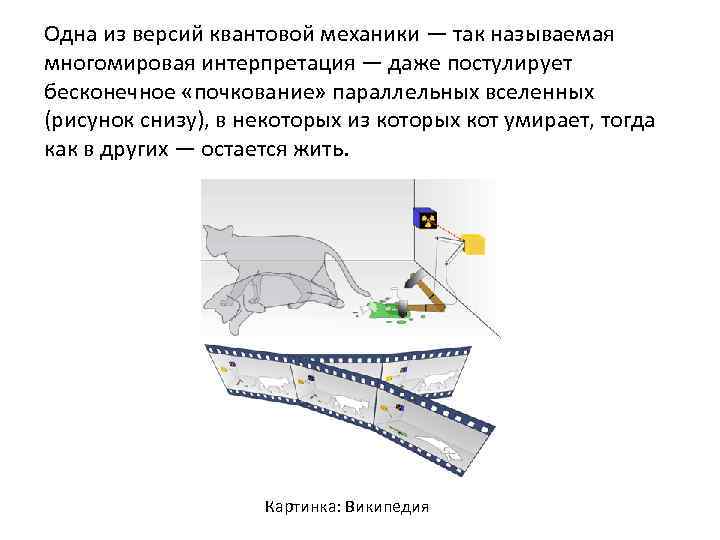 Одна из версий квантовой механики — так называемая многомировая интерпретация — даже постулирует бесконечное