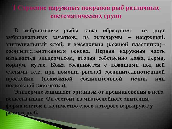 1 Строение наружных покровов рыб различных систематических групп В эмбриогенезе рыбы кожа образуется из
