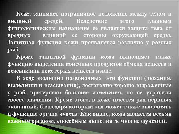 Кожа занимает пограничное положение между телом и внешней средой. Вследствие этого главным физиологическим назначение