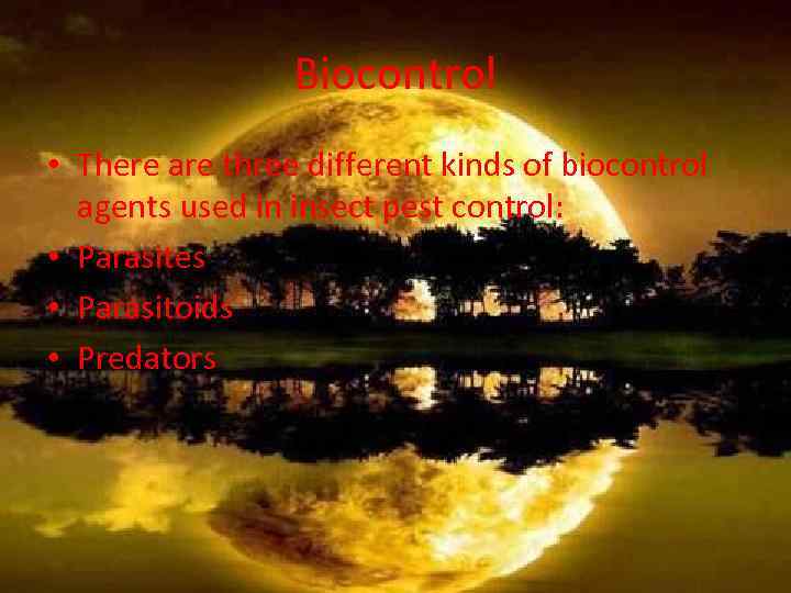 Biocontrol • There are three different kinds of biocontrol agents used in insect pest