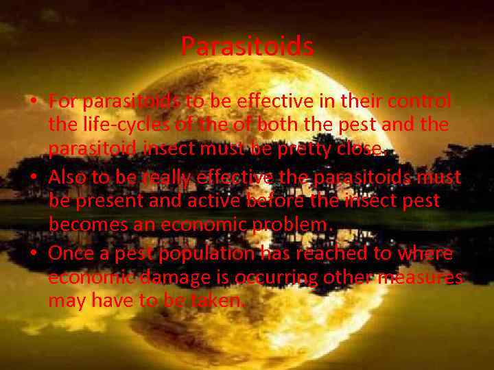 Parasitoids • For parasitoids to be effective in their control the life-cycles of the