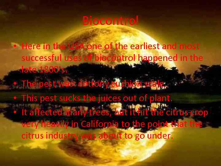 Biocontrol • Here in the USA one of the earliest and most successful uses