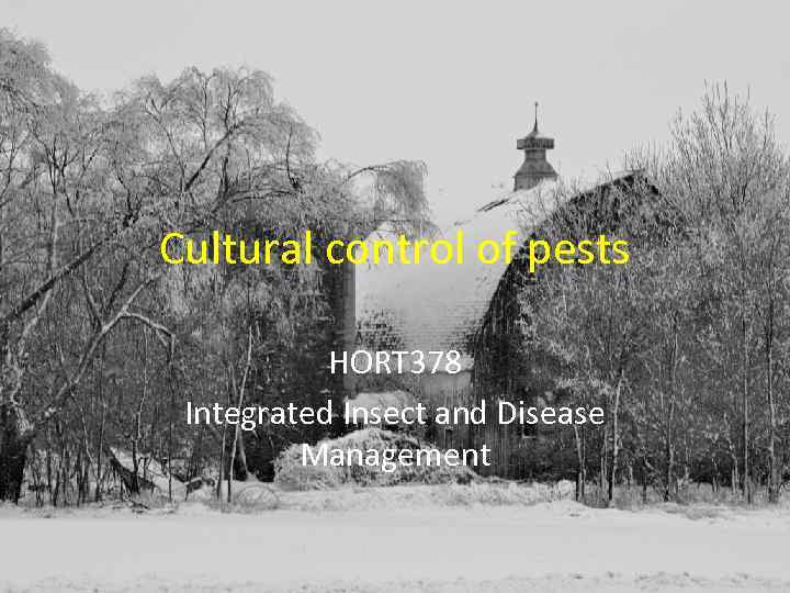 Cultural control of pests HORT 378 Integrated Insect and Disease Management 