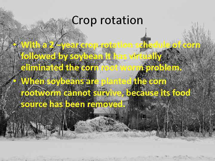 Crop rotation • With a 2 –year crop rotation schedule of corn followed by