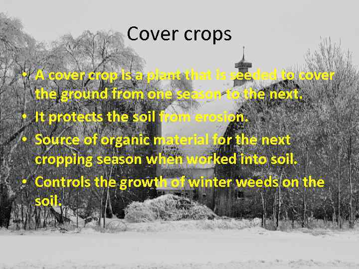 Cover crops • A cover crop is a plant that is seeded to cover