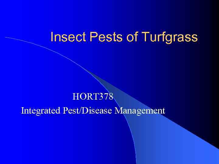 Insect Pests of Turfgrass HORT 378 Integrated Pest/Disease Management 