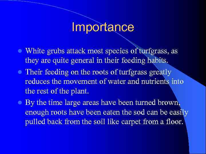 Importance White grubs attack most species of turfgrass, as they are quite general in