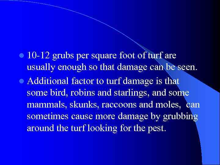 l 10 -12 grubs per square foot of turf are usually enough so that