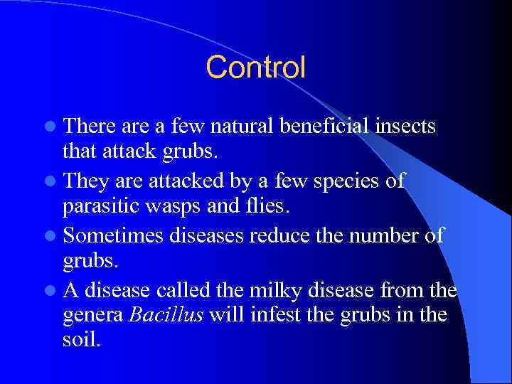 Control l There a few natural beneficial insects that attack grubs. l They are