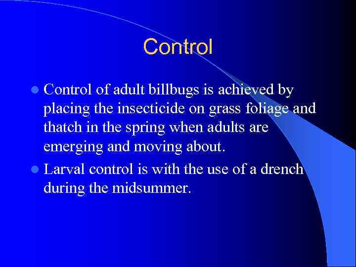 Control l Control of adult billbugs is achieved by placing the insecticide on grass