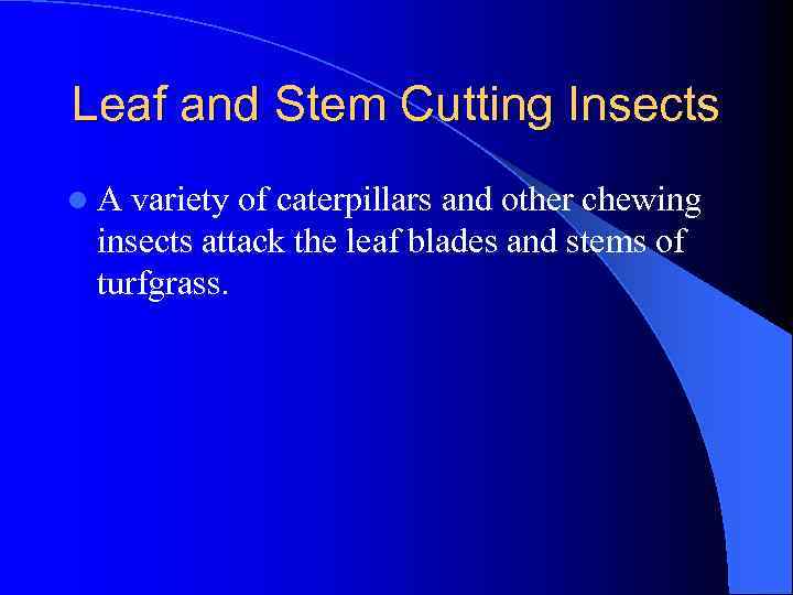 Leaf and Stem Cutting Insects l. A variety of caterpillars and other chewing insects