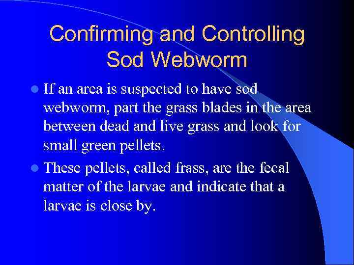 Confirming and Controlling Sod Webworm l If an area is suspected to have sod