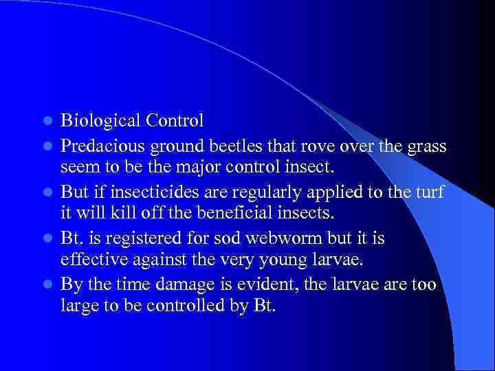 l l l Biological Control Predacious ground beetles that rove over the grass seem