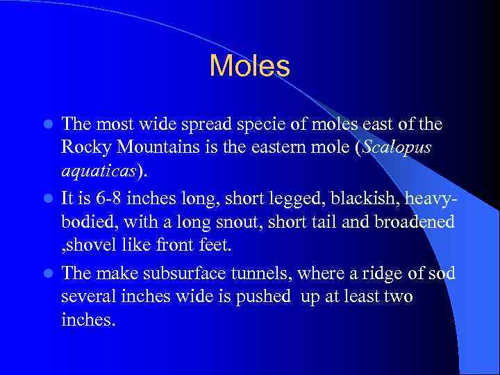 Moles The most wide spread specie of moles east of the Rocky Mountains is