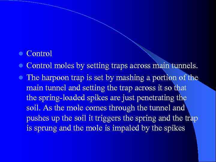 Control l Control moles by setting traps across main tunnels. l The harpoon trap